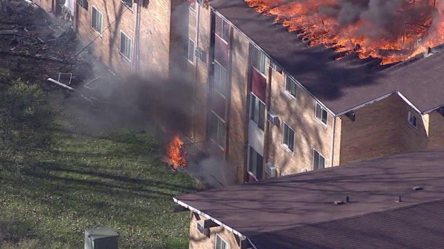 Woman who started blaze trying to kill bed bugs: 'I am so sorry'