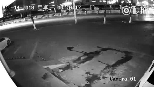 Would-be burglar hits partner in head with brick