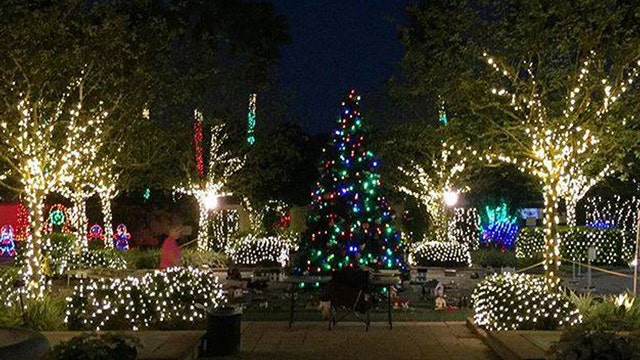 Holiday Lights at The Florida Botanical Gardens