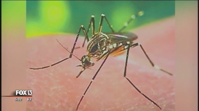 OB/GYNs address pregnant patients' Zika concerns