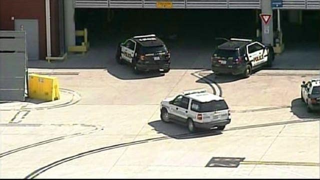 Baboon escapes from crate at San Antonio airport