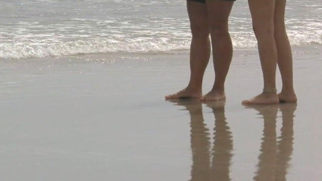 Website helps beachgoers track conditions