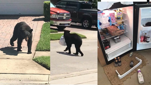 Black bear breaks into FOX 35 anchor's garage