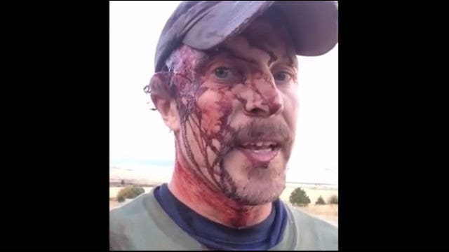 Montana hiker survives 2 attacks by the same bear, sheriff says