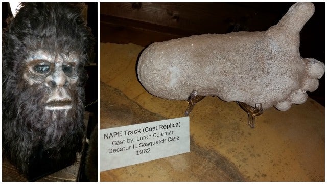 New North Georgia museum explores legend of 'Bigfoot'