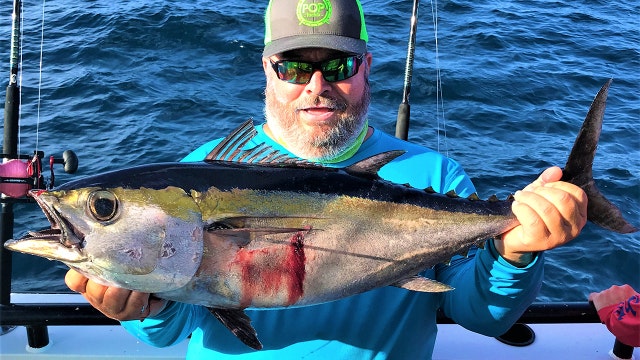 Good Catch: Amberjack season is open