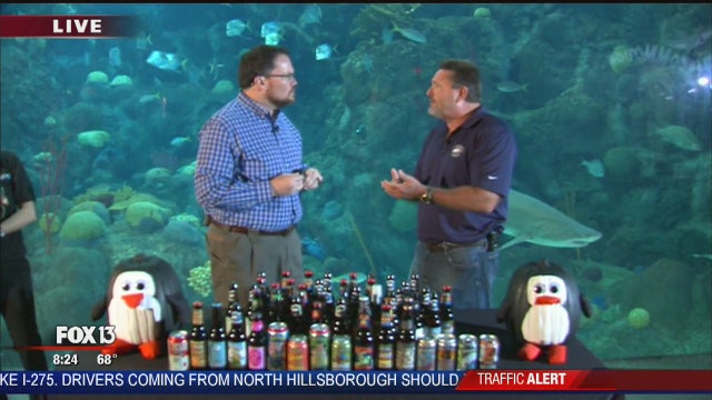 October at the Florida Aquarium