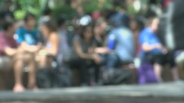 University of Florida releases sexual assault survey findings