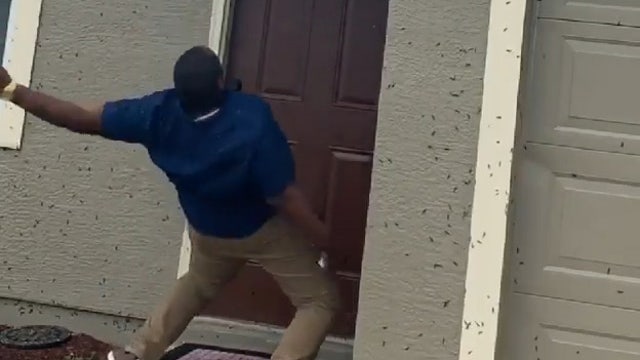 Florida man dodges lovebugs trying to get into his house