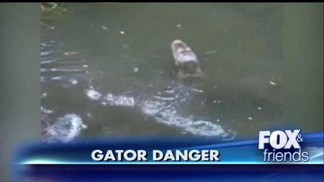 Shocking video: Disney employee fends off alligator near Splash Mountain ride