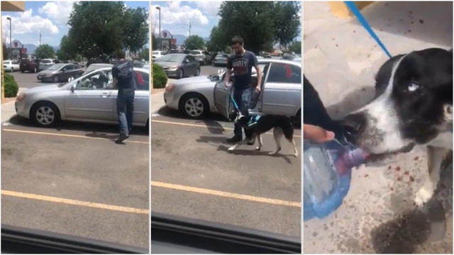 Man smashes window to save dog from hot car in New Mexico