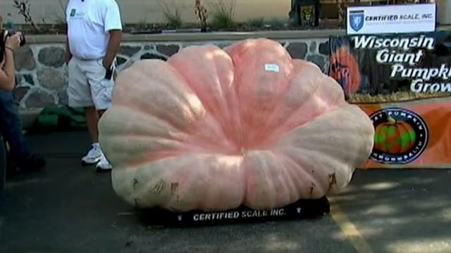 Giant pumpkin weighing over 2,000 pounds crushes North American record