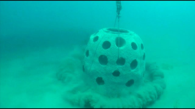 Finishing touches to be done on underwater memorial for U.S. sailors