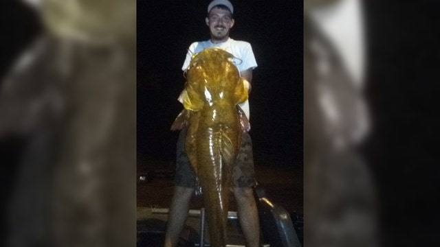 Santa Rosa County man second in his family to catch record-setting flathead catfish