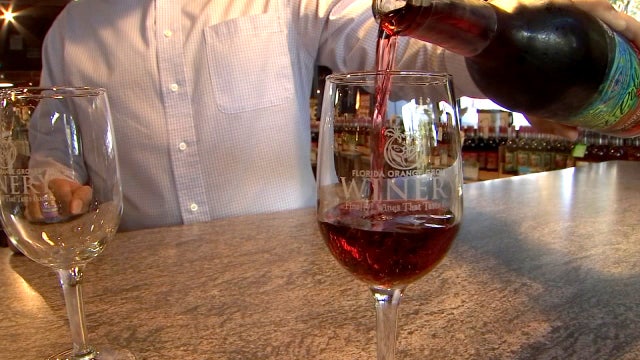 Winery serves up Florida-based fruit wine in Pinellas County