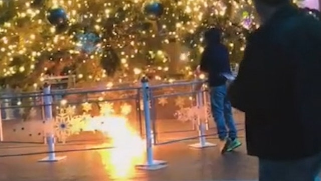 Woman tries to set Fort Worth, Texas Christmas tree on fire