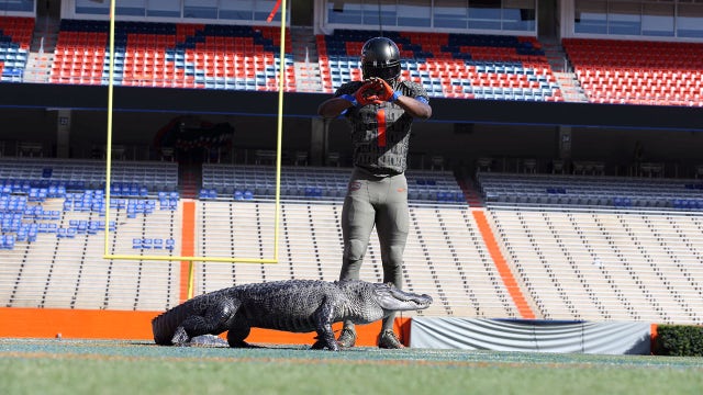 Alligator joins Gators to show off new uniform