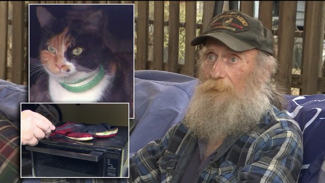 Hero cat saves sleeping family of 5 from fire