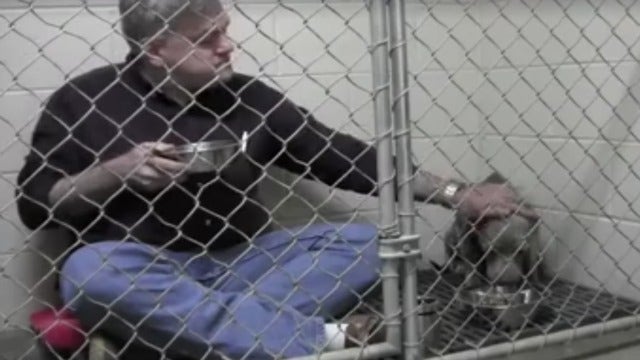Veterinarian has breakfast with scared rescue dog