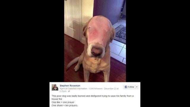Facebook users tricked into sharing 'hamdog' picture