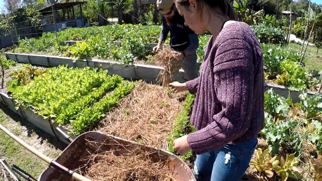 Students go off the grid at Heart Village in Lake Wales