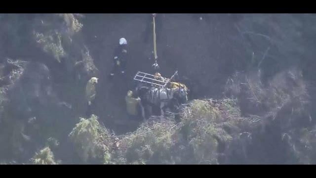 VIDEO: Horse rescued after falling off cliff in Malibu State Creek Park