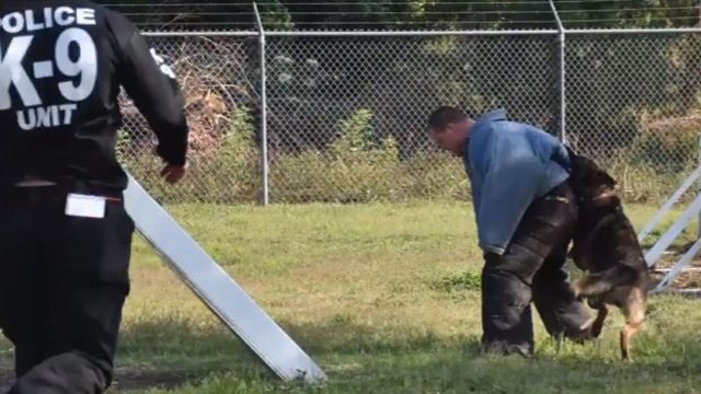 St. Pete PD K9 unit needs votes to win $5,000 grant