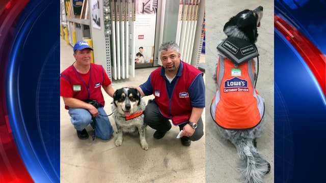 Canada Lowe's hires man and his service dog