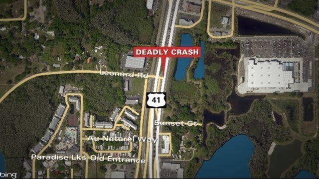 Lutz driver dies trying to avoid another car