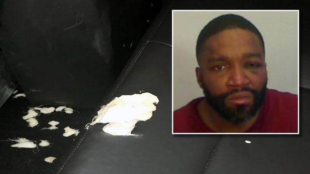 Florida man charged after chewing up seat in deputy's cruiser