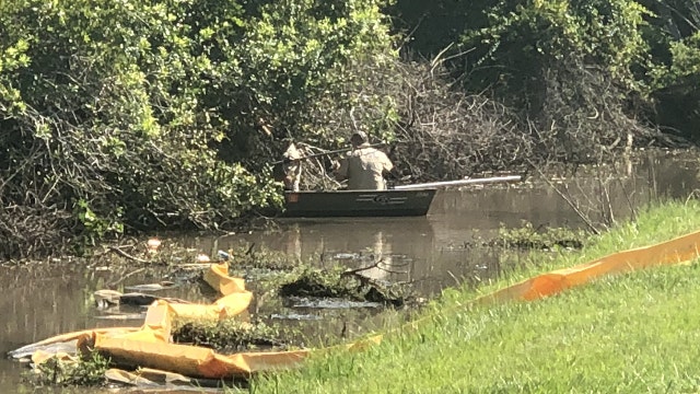 FWC confirms man bitten by gator