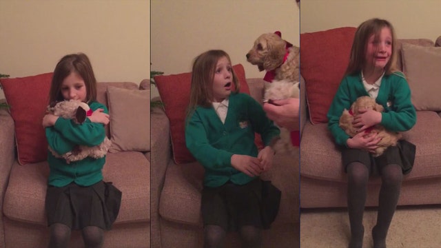 Watch as girl's favorite stuffed animal 'comes alive'