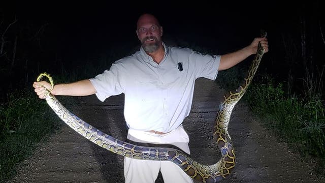 Lakeland man helps rescue alligator from python's grip