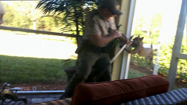 Rabies alert issued after bobcat attacks