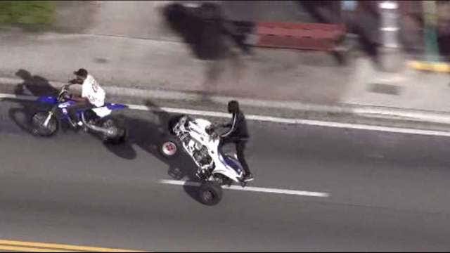 ATV riders pop wheelies, drive through Miami traffic