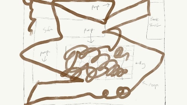 Dad's post about dog poop, Roomba vacuum goes viral