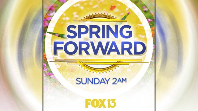 Sunshine Protection Act resurfaces to save Florida's sunshine