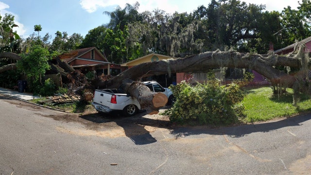 Massive tree damages Seminole Heights homes