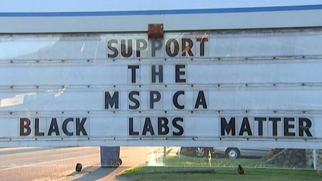 'Black labs matter' sign gets mixed reaction