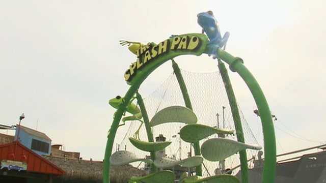 The Florida Aquarium's Day of Discovery