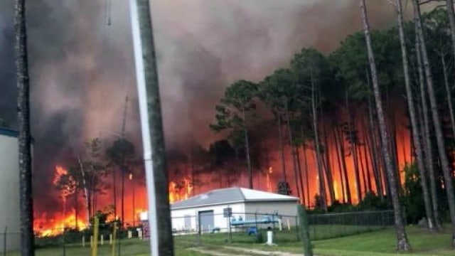 With school lunch legislation, Florida lawmakers weaken protections for fire victims