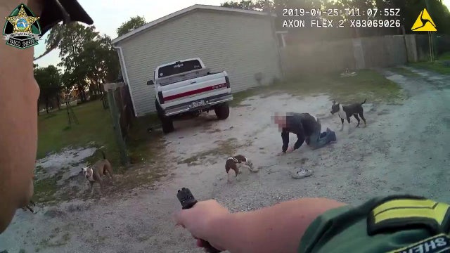Pasco deputy shoots dog that attacked elderly man, teen