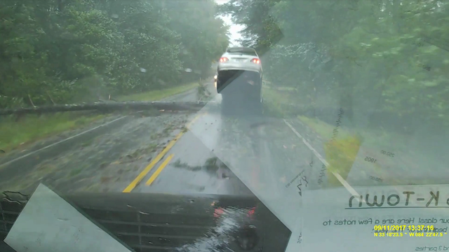 VIDEO: Driver slams into fallen tree