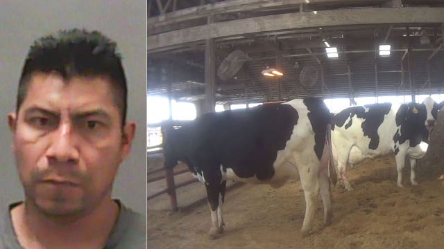 Fair Oaks Farms investigation: 1 of 3 suspects arrested in animal abuse case