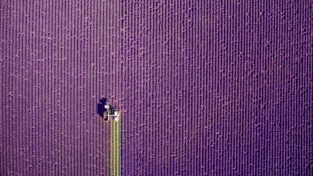 Dronestagram's top 20 pictures of 2016