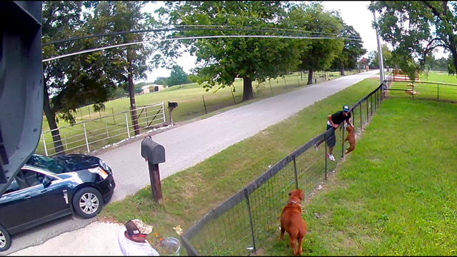 Mesquite PD: Puppy stolen from backyard recovered