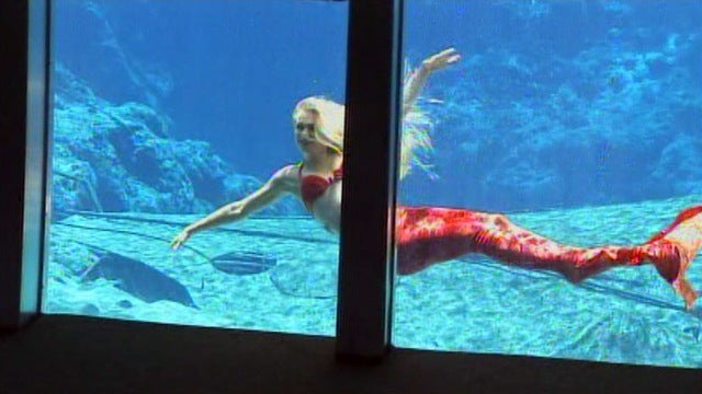 Attention, aspiring mermaids: Weeki Wachee auditions delayed to April 26