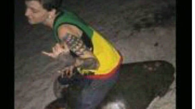 Florida woman arrested for allegedly sitting on sea turtle