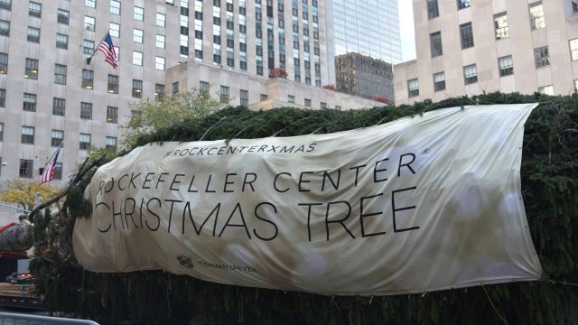 Rockefeller Center Christmas Tree arrives in New York