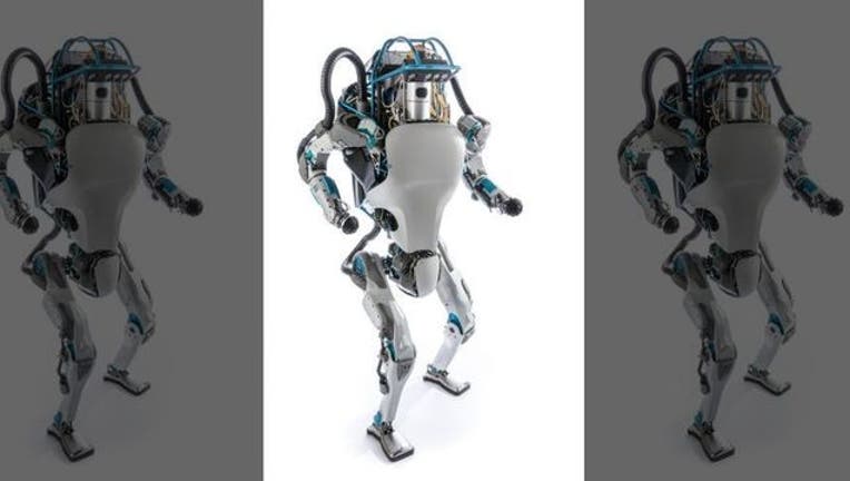 e8230693-Atlas Robot-402429.jpg